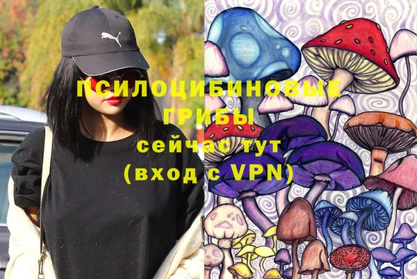 дурь Бронницы
