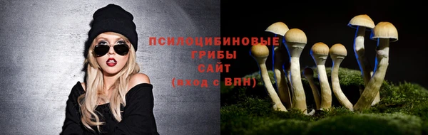 марки nbome Бугульма