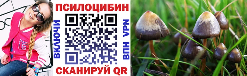 Псилоцибиновые грибы GOLDEN TEACHER  мега ONION  Катайск 