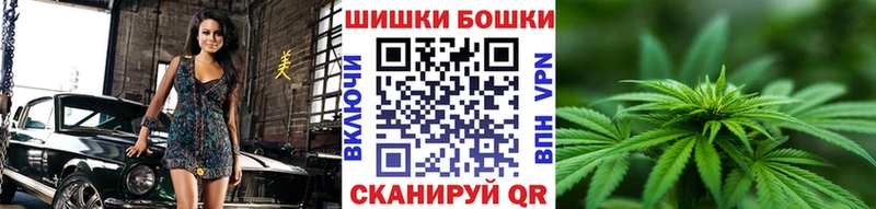 Бошки Шишки планчик  продажа наркотиков  Катайск 